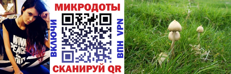 Псилоцибиновые грибы Cubensis  blacksprut маркетплейс  Отрадное  цена  