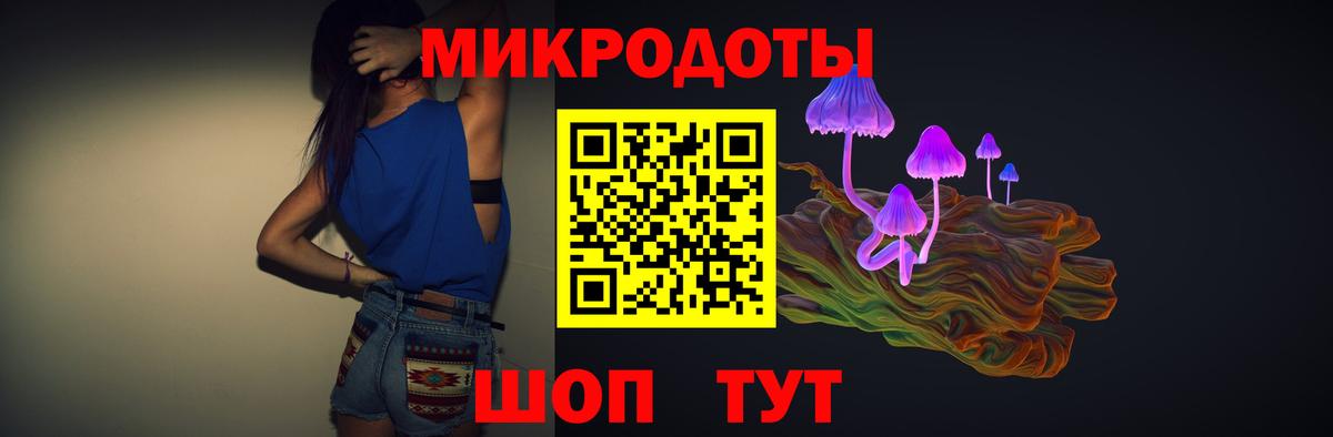 Отрадное  где продают наркотики  Вход с VPN  Галлюциногенные грибы прущие грибы  Псилоцибиновые грибы мицелий 